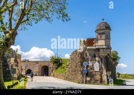 Frankreich, Charente-Maritime, Saintonge, Brouage, beschriftet Les Plus Beaux Villages de France, ein Störch hat sein Nest auf einem Turm der Befestigungsanlagen errichtet, Weißstörche (Ciconia ciconia), die seit 1978 in der Region brüten, kommen nach dem Elsass an zweiter Stelle für den Empfang von Störchen Stockfoto