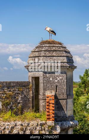 Frankreich, Charente-Maritime, Saintonge, Brouage, beschriftet Les Plus Beaux Villages de France, ein Störch hat sein Nest auf einem Turm der Befestigungsanlagen errichtet, Weißstörche (Ciconia ciconia), die seit 1978 in der Region brüten, kommen nach dem Elsass an zweiter Stelle für den Empfang von Störchen Stockfoto