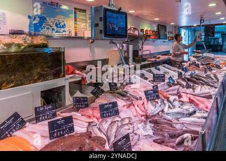 Frankreich, Charente-Maritime, Le Château-d'Oléron, die Markthallen des Chateau d'Oléron, Frischfischstand Stockfoto