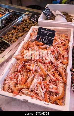 Frankreich, Charente-Maritime, Le Château-d'Oléron, die Markthallen des Chateau d'Oléron überdachten Markts, Fischstände, lebende Hummerkiste Stockfoto