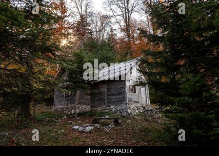 Eine Holzhütte im Herbstwald auf dem Berg Tara in Serbien. Stockfoto