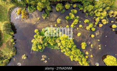 Dänemark, Fionie, Fåborg, UNESCO-Weltgeopark des südlichen Fionie Archipels eines Teichs hoch über der Stadt, inmitten von Feldern (Luftaufnahme) Stockfoto