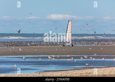 Frankreich, Somme, Quend-Plage, Sandyachten am Strand Stockfoto