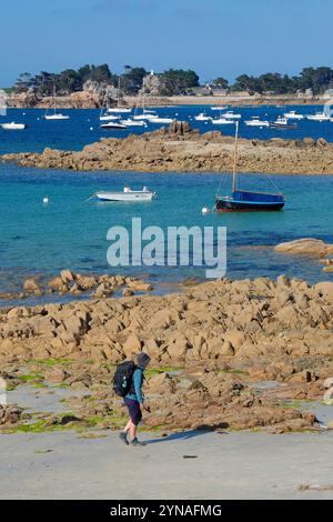 Frankreich, Côtes-d'Armor (22), Penvénan, Port-Blanc Stockfoto