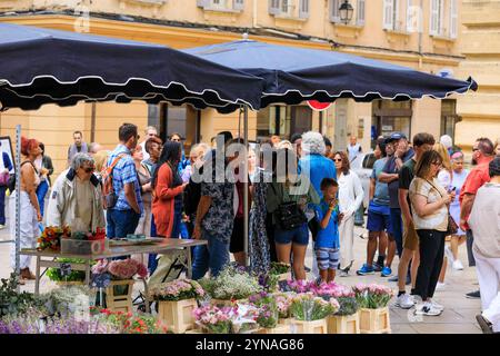Frankreich, Bouches du Rhone (13), Aix en Provence, Place de l'Hotel de Ville, marche aux Fleurs, Touristen, Croisieristes en Visite dans le Centre Ville Stockfoto