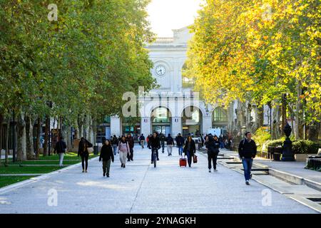 France, Gard (30), Nimes, Allee Feucheres Stockfoto