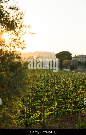 Frankreich, Var (83), Le Castellet, AOP Bandol, Domaines Ott, Chateau Romassan, vignes et le Village de la Cadiere d'Azur Stockfoto