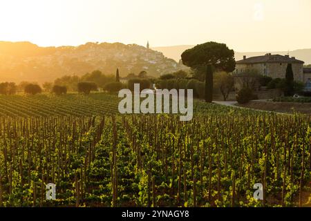 Frankreich, Var (83), Le Castellet, AOP Bandol, Domaines Ott, Chateau Romassan, vignes et le Village de la Cadiere d'Azur Stockfoto