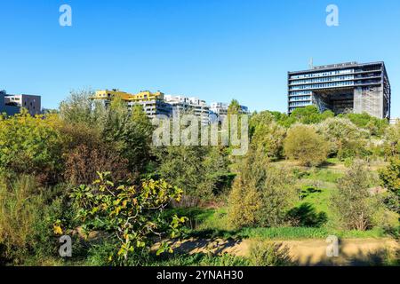 Frankreich, Herault (34), Montpellier, Quartier de Port Marianne, Hotel de Ville concu par les architectes Jean Nouvel et Francois Fontes, parc d'Armenie Stockfoto