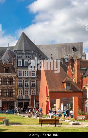 Frankreich, Nord, Lille, ilot Concesse in der Nachbarschaft von Lille, Notre Dame de la Treille Kathedrale im Hintergrund Stockfoto