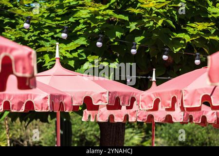 Frankreich, Alpes Maritimes (06), Mandelieu La Napoule, Hotel Casarose Stockfoto