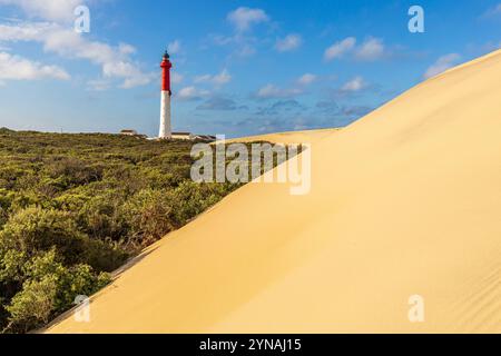 Frankreich, Charente-Maritime, Côte Sauvage, Pointe de la Coubre, La Tremblade, die Dünen der Côte Sauvage und der Leuchtturm der 64 Meter hohen Coubre Stockfoto