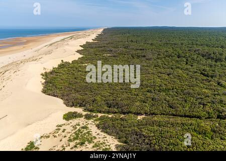 Frankreich, Charente-Maritime, Côte Sauvage, Pointe de la Coubre, La Tremblade, vom Norden des Leuchtturms von La Coubre auf der Walddomaniale von La Coubre und den langen Dünenstränden der Côte Sauvage aus gesehen Stockfoto