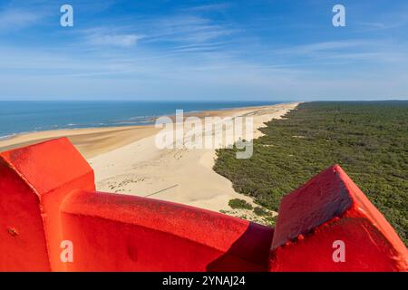 Frankreich, Charente-Maritime, Côte Sauvage, Pointe de la Coubre, La Tremblade, von der Nordkrone des Leuchtturms von La Coubre auf dem Walddomaniale von La Coubre und den langen Dünenstränden der Côte Sauvage aus gesehen Stockfoto