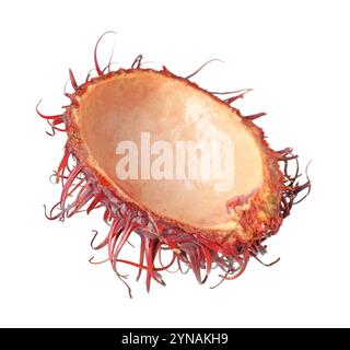 Schale von Rambutan isoliert auf weiß. Exotische Früchte Stockfoto