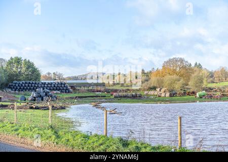 Kidderminster, Großbritannien. November 2024. Wetter in Großbritannien: Ein Tag voller strahlender Sonne. Die Bauern sehen sich mit Hochwasserproblemen konfrontiert, da Sturm Bert in den Midlands nach einem turbulenten, stürmischen Wochenende nachlässt. Quelle: Lee Hudson/Alamy Live News Stockfoto