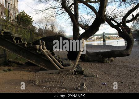 Umgedrehter Einkaufswagen an der Themse, Strand-on-the-Green Stockfoto