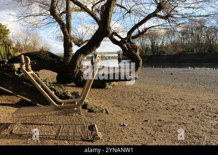 Umgedrehter Einkaufswagen an der Themse, Strand-on-the-Green Stockfoto