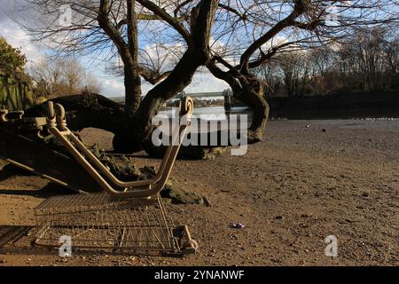 Umgedrehter Einkaufswagen an der Themse, Strand-on-the-Green Stockfoto