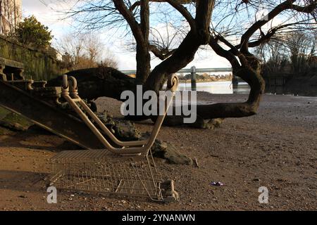 Umgedrehter Einkaufswagen an der Themse, Strand-on-the-Green Stockfoto