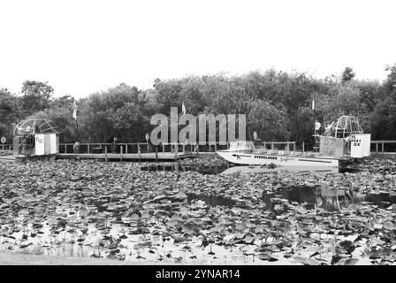 Luftbootfahrten durch die malerischen Everglades-Sumpfgebiete in Florida, ein muss für Naturliebhaber und Abenteuerlustige. USA Stockfoto