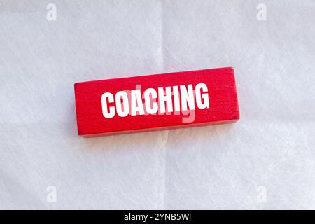 Coaching-Nachricht auf rotem Holzblock mit weißem Hintergrund. Symbol für konzeptionelles Coaching. Kopierbereich. Stockfoto