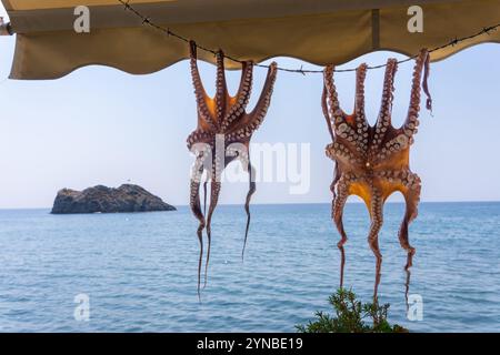 Krake, die in einem Restaurant am Strand von Skala Eresou, der Insel Lesbos, Griechenland, aufgehängt wurde Lesbos oder Lesbos ist eine griechische Insel in der nordöstlichen Ägäis Stockfoto