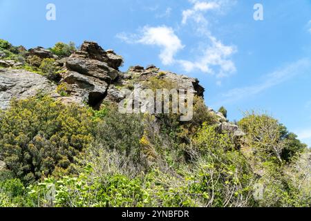 Richtis Gorge, staatlich geschützter Park, Kreta, Griechenland Stockfoto