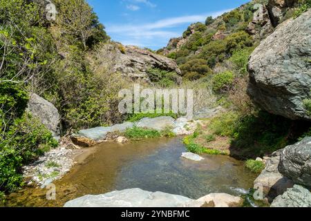 Richtis Gorge, staatlich geschützter Park, Kreta, Griechenland Stockfoto