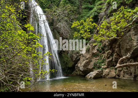 Richtis Gorge, staatlich geschützter Park, Kreta, Griechenland Stockfoto