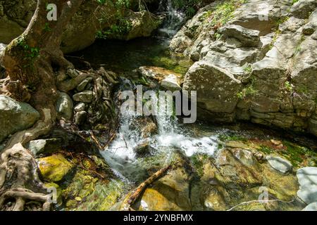 Richtis Gorge, staatlich geschützter Park, Kreta, Griechenland Stockfoto