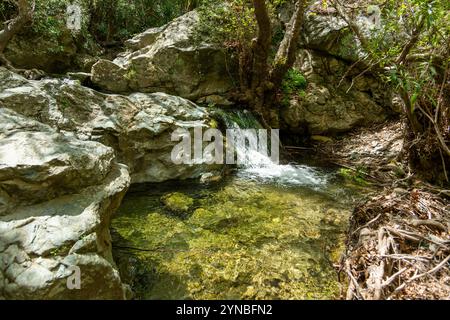 Richtis Gorge, staatlich geschützter Park, Kreta, Griechenland Stockfoto