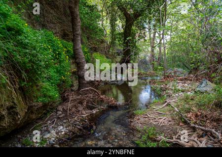 Richtis Gorge, staatlich geschützter Park, Kreta, Griechenland Stockfoto