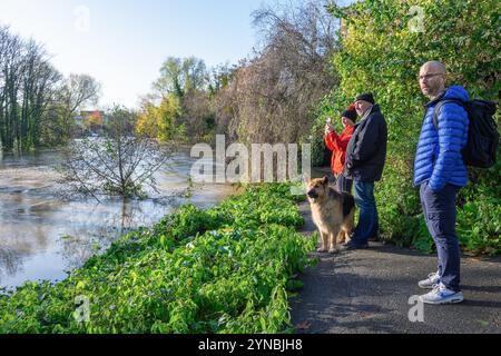 Chippenham, Wiltshire, Großbritannien, 25. November 2024. Die Menschen werden im Bild des überfluteten Rver Avon im Stadtzentrum von Chippenham gesehen. Quelle: Lynchpics/Alamy Live News Stockfoto