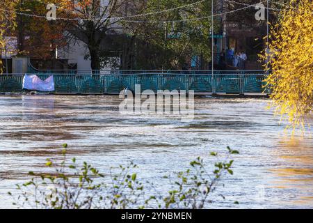 Chippenham, Wiltshire, Großbritannien, 25. November 2024. Die Menschen sehen zu, wie der Wasserspiegel des Flusses Avon fast die Brücke im Zentrum von Chippenham durchbricht. Quelle: Lynchpics/Alamy Live News Stockfoto