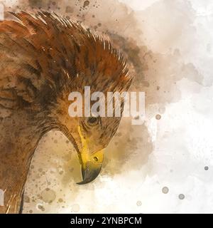 Digitales Bild eines Porträts eines kleinen Fleckenadlers (Clanga pomarina) عقاب سعفاء صغرى Stockfoto
