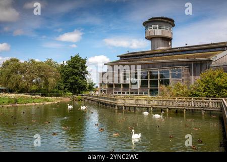 Großbritannien, England, Gloucestershire, Vale of Berkeley, Slimbridge, Wildflower and Wetlands Trust, Visitor Centre und Sloane Observation Tower Stockfoto