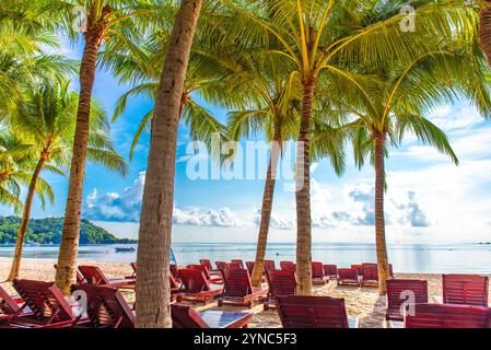 Strand mit Palmen und vielen Liegen. Die Stühle sind rot und in Reihen angeordnet Stockfoto