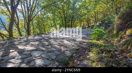 Pflasterweg aus Stein. Naturschutzgebiet Garganta de los Infiernos, Extremadura, Spanien Stockfoto