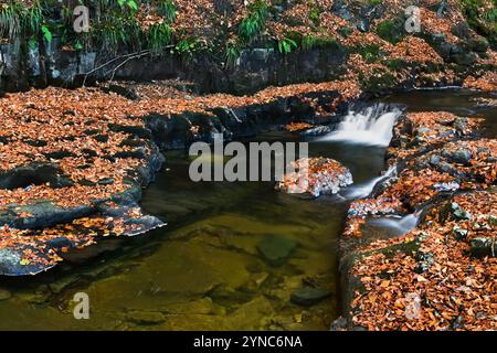 Ein teilweise gefrorener Bowlees Beck (Bow Lee Beck) im Spätherbst in Bowlees, Teesdale, County Durham, Großbritannien Stockfoto