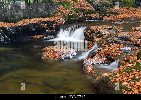 Ein teilweise gefrorener Bowlees Beck (Bow Lee Beck) im Spätherbst in Bowlees, Teesdale, County Durham, Großbritannien Stockfoto