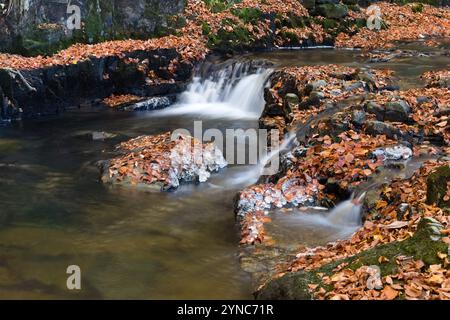 Ein teilweise gefrorener Bowlees Beck (Bow Lee Beck) im Spätherbst in Bowlees, Teesdale, County Durham, Großbritannien Stockfoto