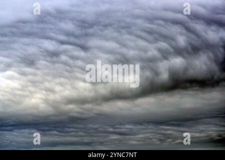 18.08.2024, Hannover, Niedersachsen, Deutschland - Dunkle Wolken am Himmel. Aussen, Aussenaufnahme, bedrohlich, Bedrohung, beklemmend, bewoelkt, deutsch, Deutschland, dramatisch, Duester, Duesternis, dunkel, Dunkelheit, Europa, europaeisch, furchterregend, Hannover, Himmel, Meteorologie, Natur, Naturereignis, Niedersachsen, niemand, QF, Querformat, Regenwetter, Regenwolken, Schlechtwetter, Stimmung, trist, Tristess, Unwetter, Westeuropa, Wetter, Wetterkunde, Wetterstimmung, Wolken, Wolkenhimmel, Wolkenstimmung 240818D8718HANNOVER.JPG *** 18 08 2024, Hannover, Niedersachsen, GER Dunkle Wolken im Himmel ou Stockfoto