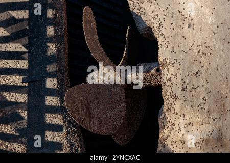 Der Propeller und der Boden des Bootes sind mit Acornnacles (Semibalanus balanoides) bedeckt, die abgeschabt, gereinigt und mit Antifouling-Farbe beschichtet werden können Stockfoto