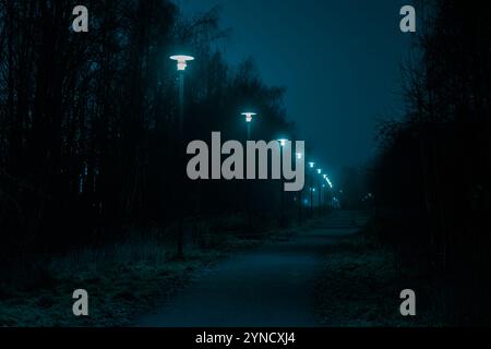 Nebeliger, nebeliger Nachtweg im Park, beleuchtet von Straßenlaternen. Eine nächtliche Stadtlandschaft auf einer Straße in Finnland, Espoo Stockfoto