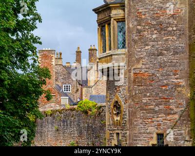 Teil des Außenbereichs und des Gartens des Bischofspalastes des Bischofs von Bath und Wells seit dem 13. Jahrhundert, Wells Somerset UK Stockfoto