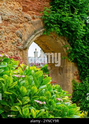 Teil des Außenbereichs und des Gartens des Bischofspalastes des Bischofs von Bath und Wells seit dem 13. Jahrhundert, Wells Somerset UK Stockfoto