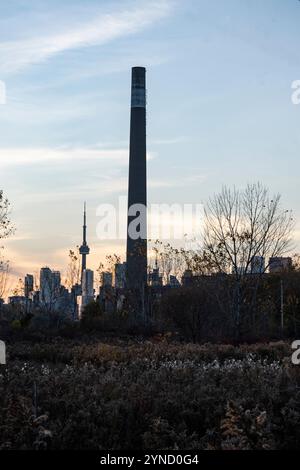 Sonnenuntergang im Tommy Thompson Park in Scarborough, Toronto, Ontario, Kanada Stockfoto