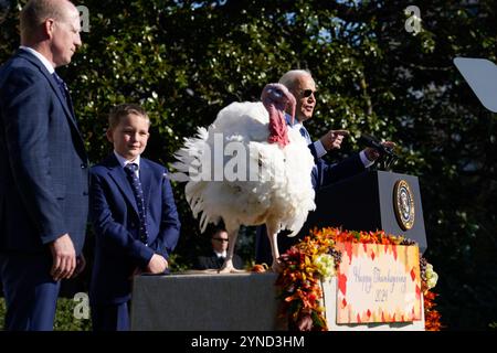 Washington, Usa. November 2024. US-Präsident Joe Biden begnadigt die Puten Peach and Blossom aus Minnesota, um den 77. Jahrestag der Präsentation der National Thanksgiving Turkey auf dem Südrasen des Weißen Hauses in Washington am 25. November 2024 zu feiern. Foto: Yuri Gripas/Pool/SIPA USA Credit: SIPA USA/Alamy Live News Stockfoto