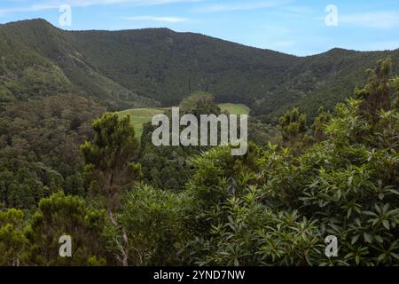 Die Furna do Enxofre, die sich im südöstlichen Teil der Caldeira da Ilha Graciosa auf der Insel Graciosa auf den Azoren befindet, ist eine beeindruckende Lavahöhle. Stockfoto